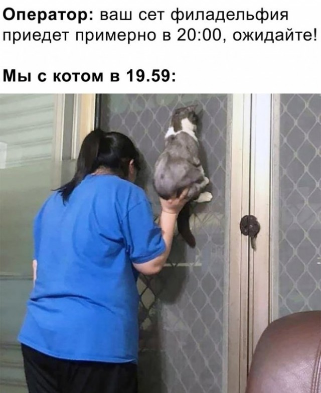 Картинки и мемы для настроения 05.10.2021