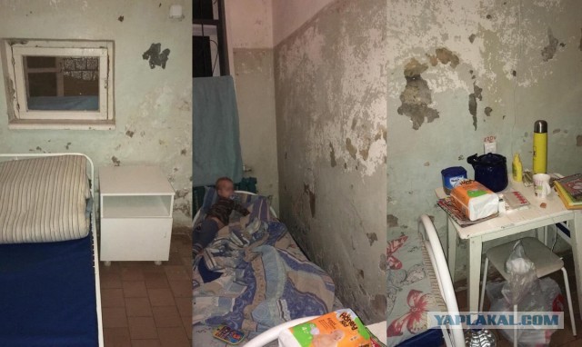 «Заграница ему поможет»: Жириновского возможно отправят в Израиль