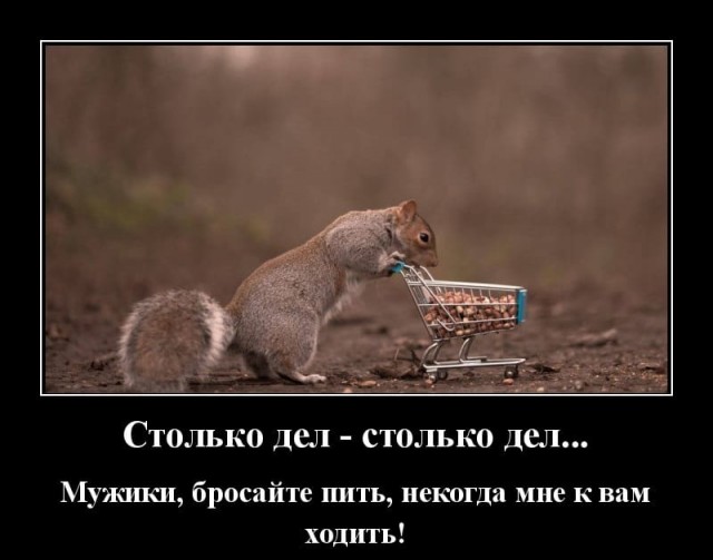 Алкопост 18.02.22