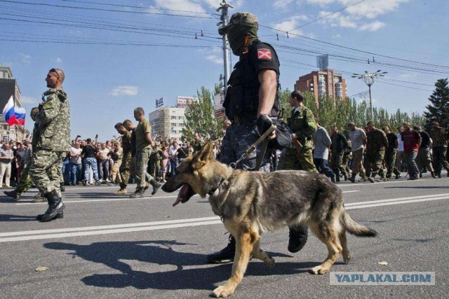 Минобороны РФ опубликовало кадры сдачи в плен ВСУ с "Азовстали"