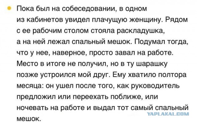 Отзывы, объявления, переписки # 6