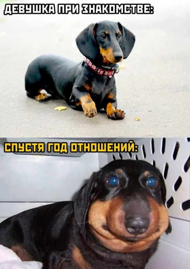 Просто картинки 26.08.22