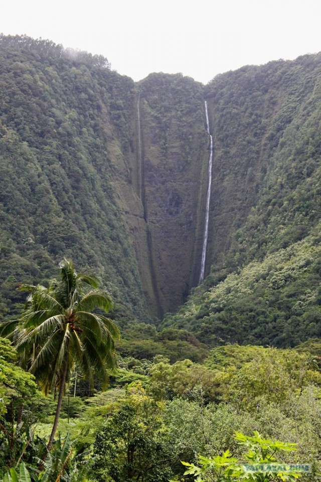 Путешествие на Гавайи