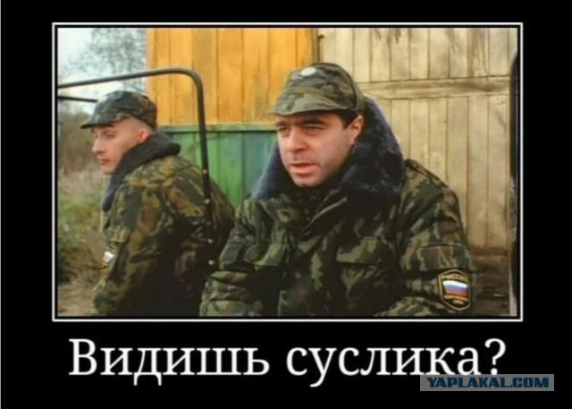 Вся "соль" в танце