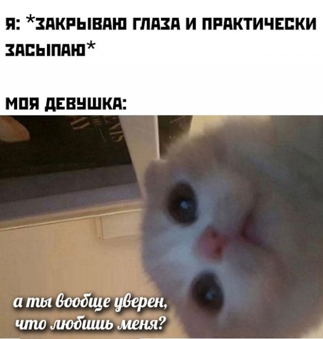 Так себе картинки 07.11.22