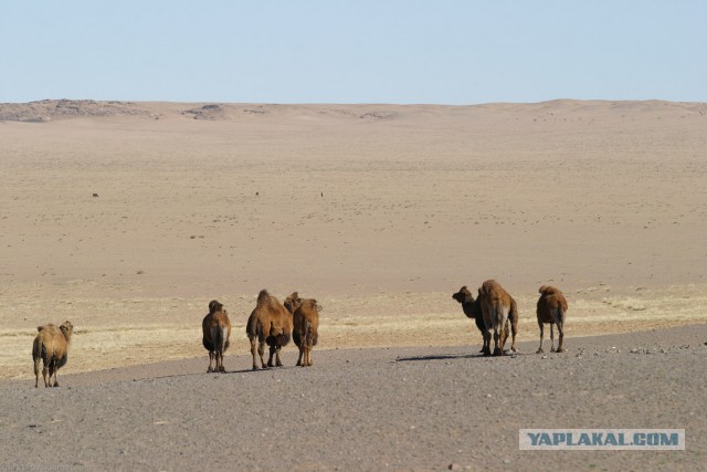 В Монголию на мотоциклах 2006