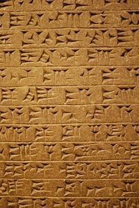 И читать тоже нужно...