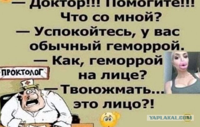 Жирнота