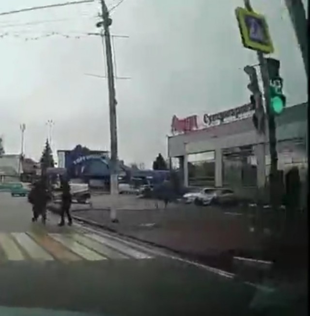Осторожно, животные на дороге.