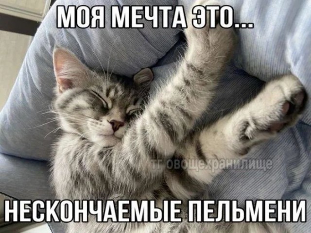 Приколы с налетом деградации в пятницу