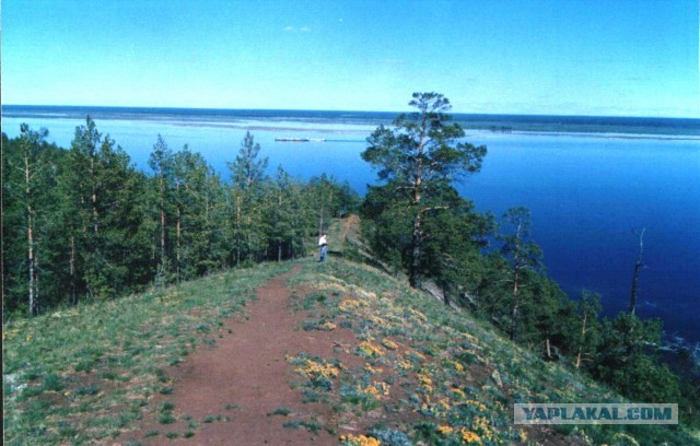 "Планета тайга"