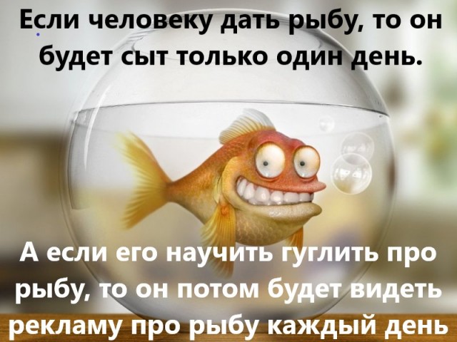 Так себе картинки 18.01.2024