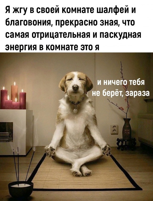 Мемчики и картинки для настроения и подумать
