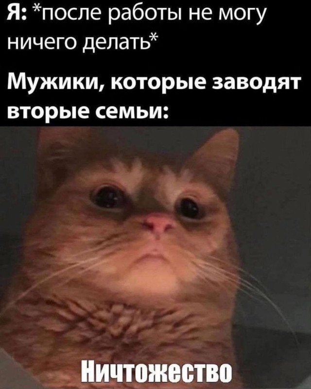 Отряд быстрого деградирования