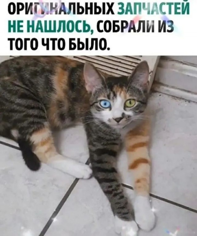 Завалялось тут случайно немного забавных картинок