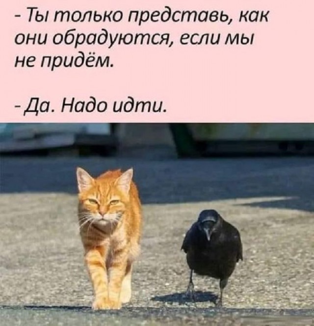 Картинки разные с надписями и без