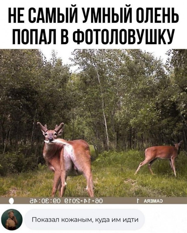 Всего понемногу. От 27.09.24