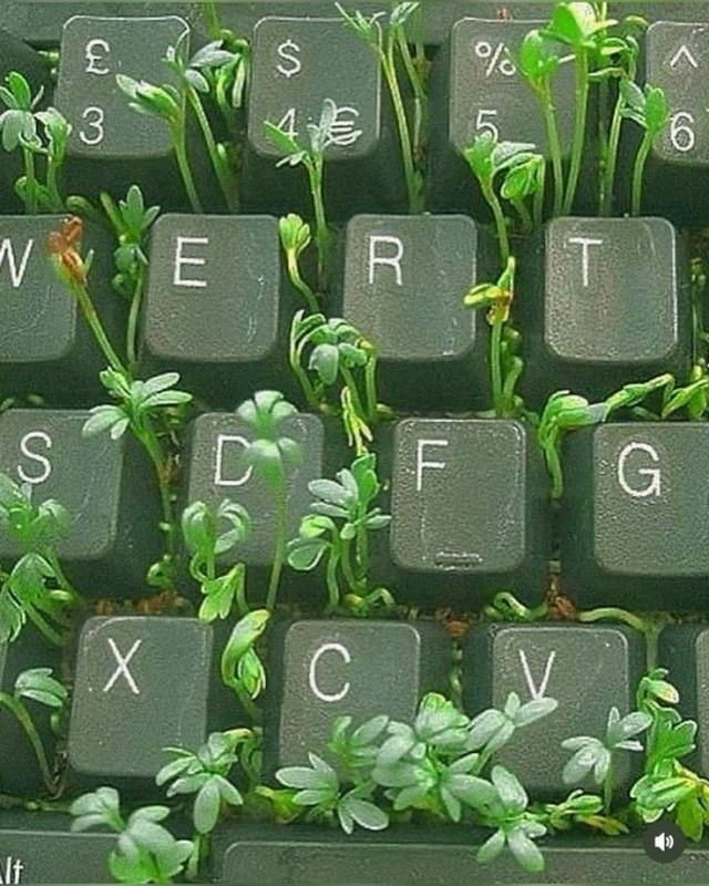 Зелёная тема
