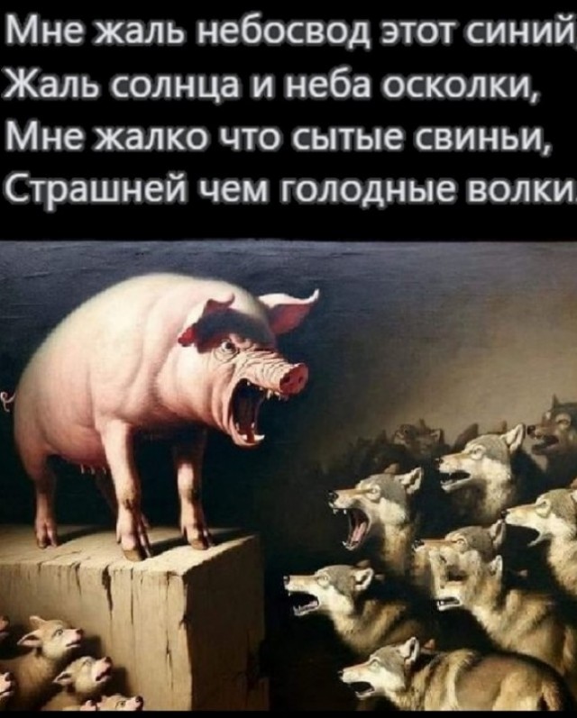«Ты нам должен с рождения»: что думают власть, экономисты и простые люди о предложении ввести налог на бездетность