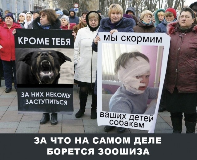 «Собаки напали, помогите!»: звонок жительницы Казани в службу спасения за мгновение до гибели⁠⁠