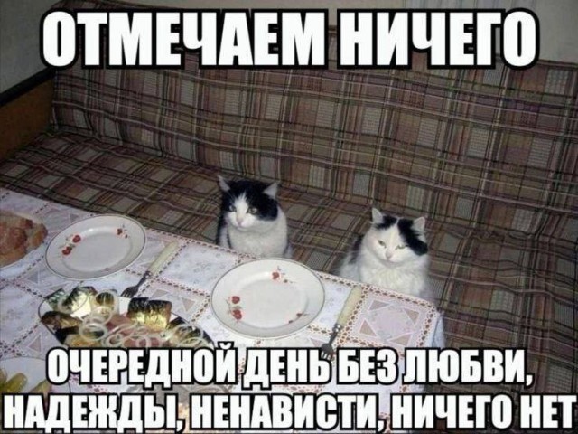 Всего понемногу. От 21.11.2024.