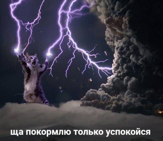 Так себе картинки 24.11.24