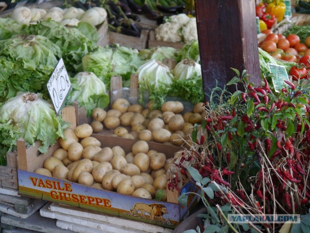 Остров Искья, Италия.