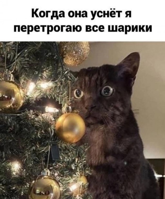 Так себе картинки 24.12.24
