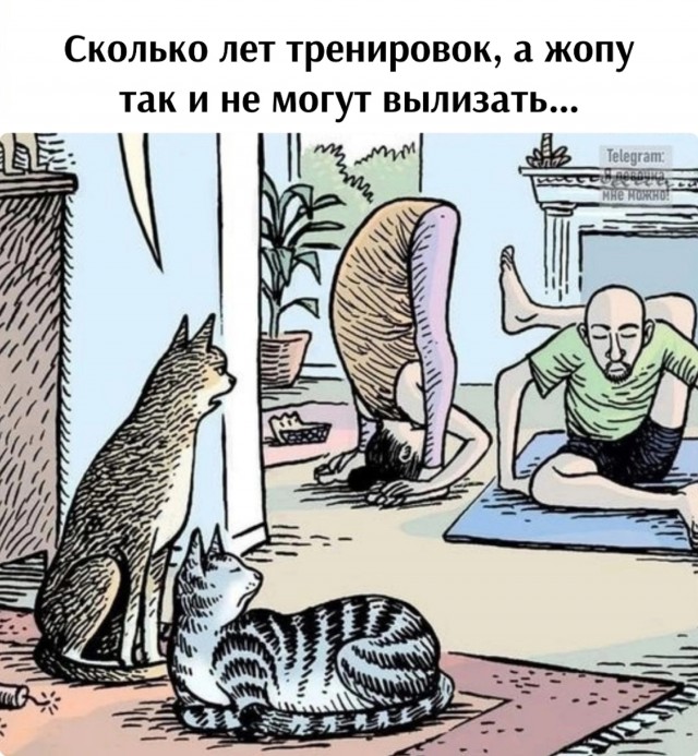 Картинок немного
