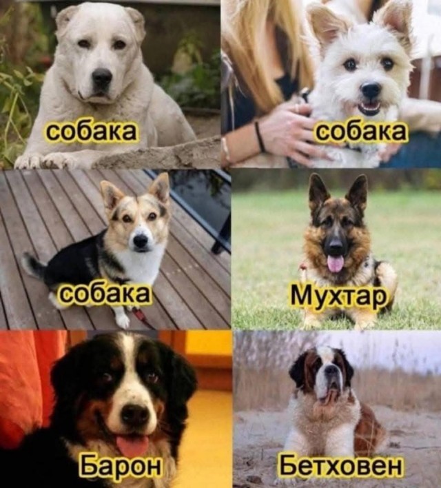 Маленькая пятница 12.03.25