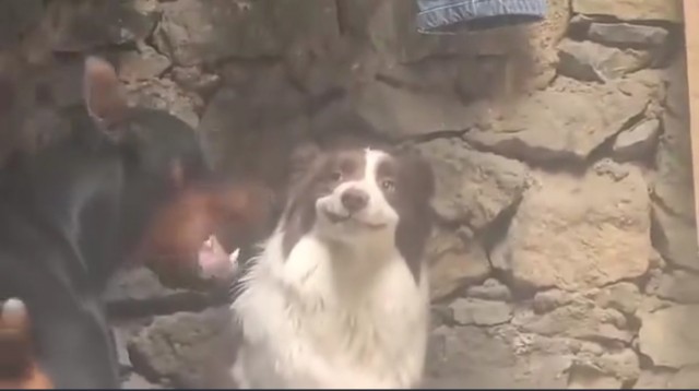 Где ты был с 8 до 11?