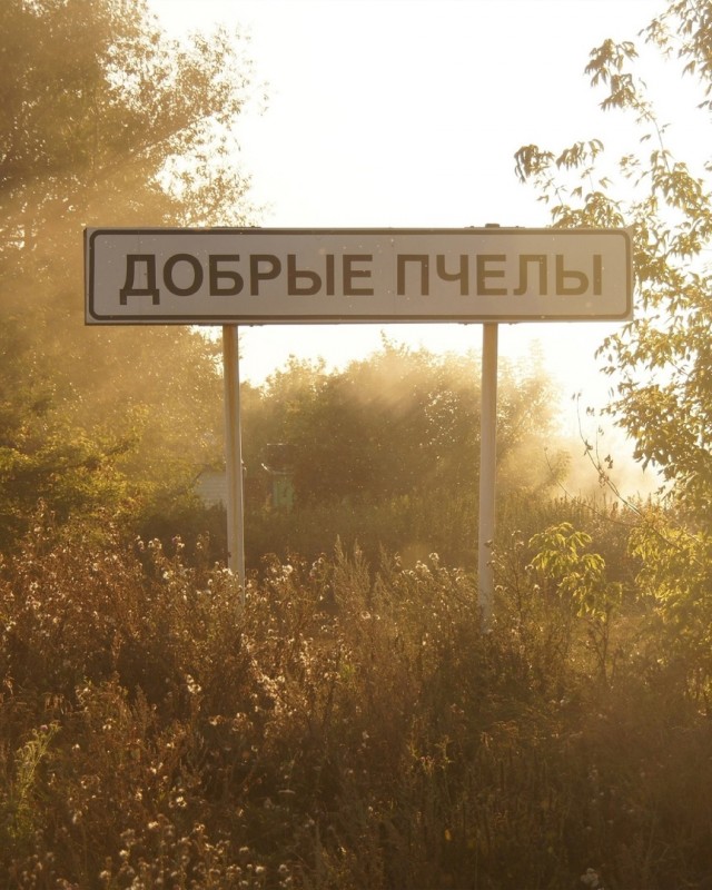 Так себе картинки 13.06.25