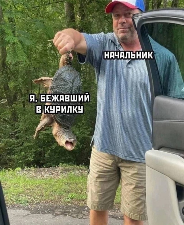 Так себе картинки 25.06.25