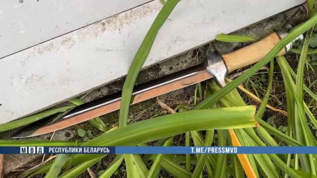 С ножами на милицию.