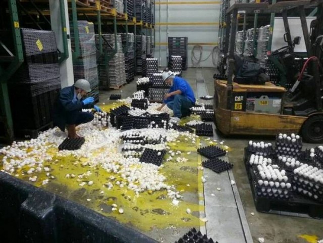 Так всякие картинки