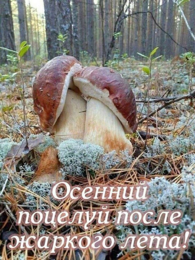 Небаянистая деградация 4