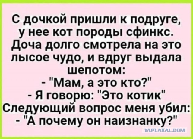 Воскресные картинки