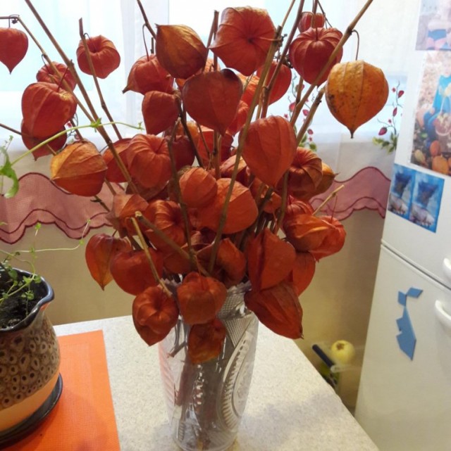 Ностальгия