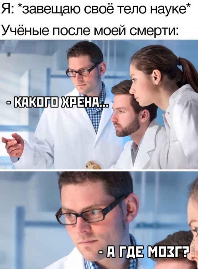 Веселые картинки в маленькую пятницу (04.03)