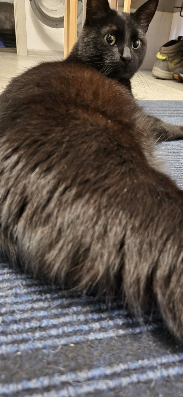 Просто кость широкая