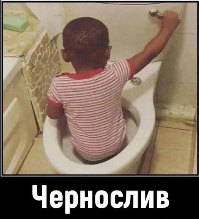 Картинки новые и старые, баяны и аккордеоны.