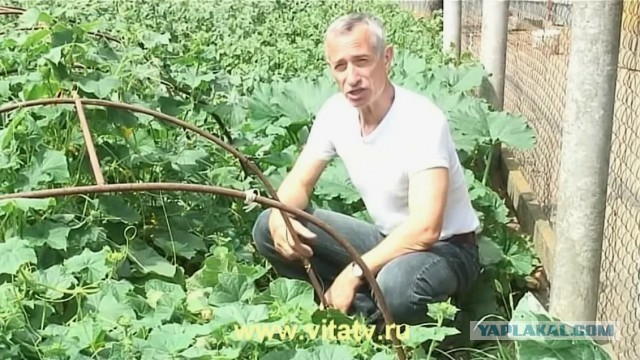 нужен мастер по ремонту посудомоечных машин