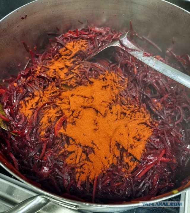 Трактат о борще без мяса и на воде