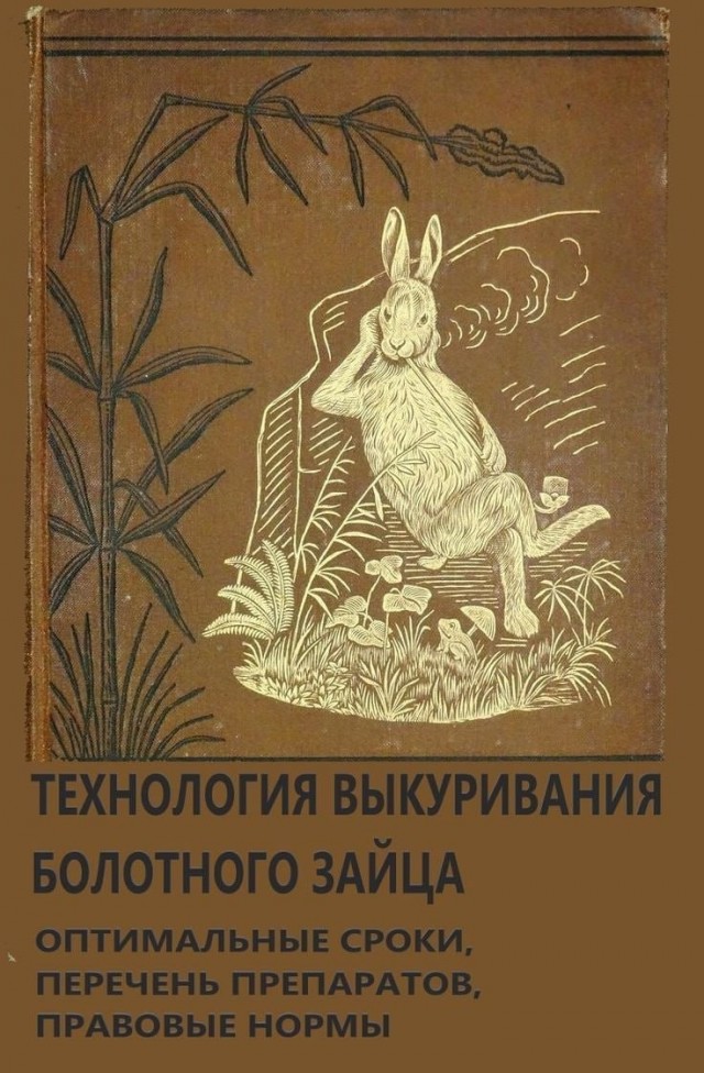 Я вот что сегодня читаю, коллеги.