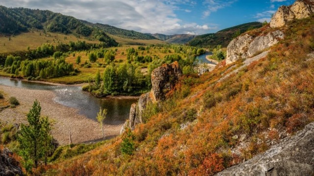 Самая вкусная рыба России