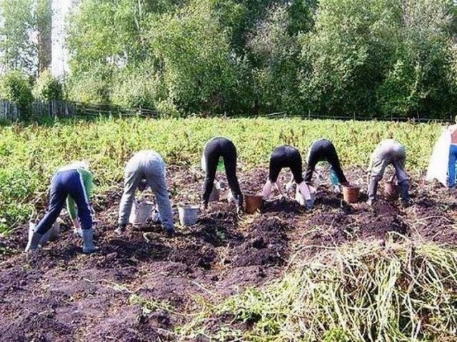 ДНК-тест