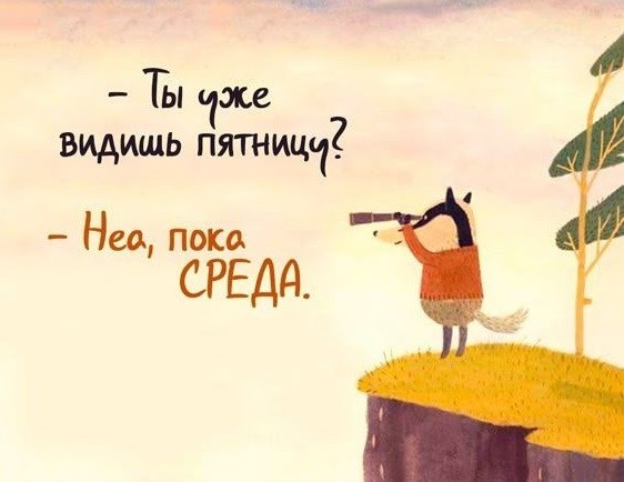 Среда оказалась самым продуктивным днём недели