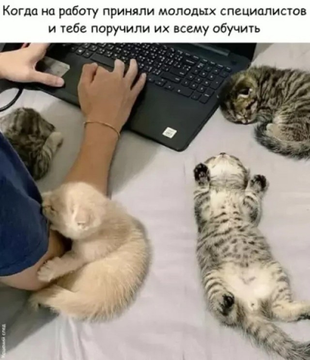 Так себе картинки 09.10.26