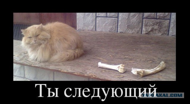 Слыш... крышку закрыл! Быстро!
