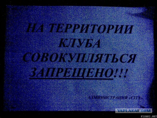 Маразмы года 2013